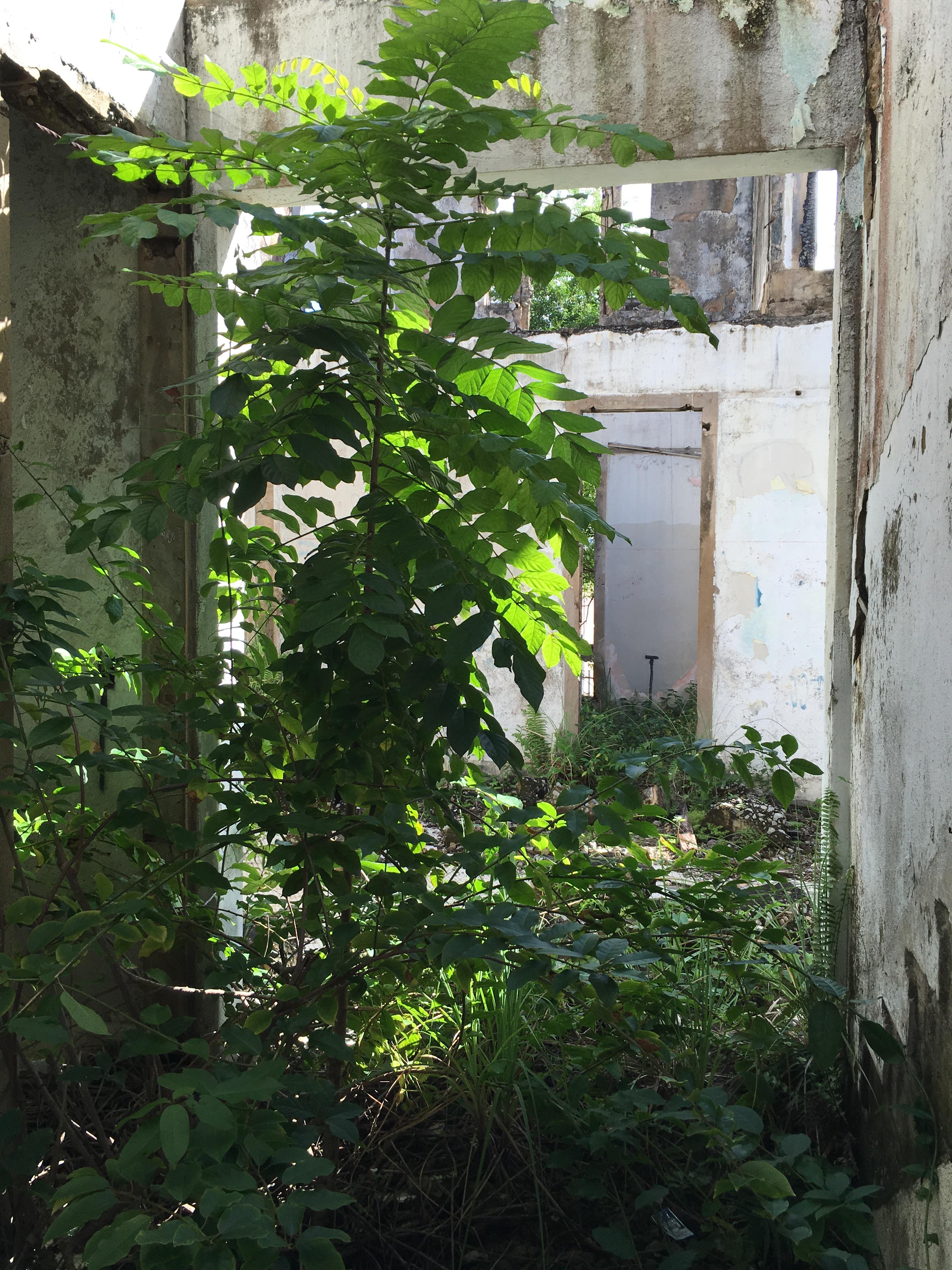 Castillo Villa del Mar - Naguabo - 2015 00027